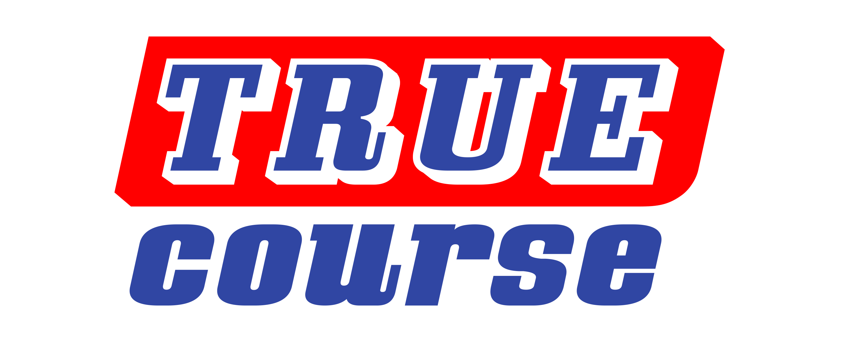 FijneDag_TrueCourse_logo_h1000px